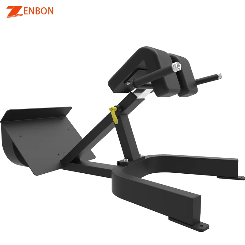 

Hot sale high quality commercial gym machine manufacturer back extension