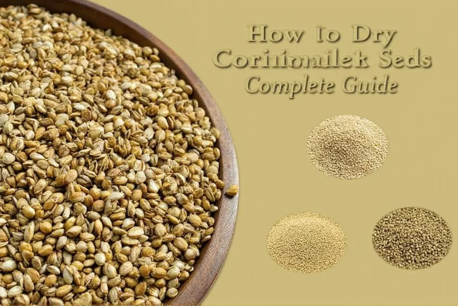 Coriander seed clusters showing various stages of maturity from green to brown