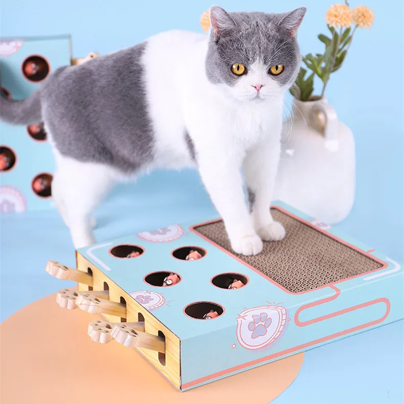 

Wholesale Cat Toy 2021 Cat Box Toy Cat Cardboard Scratcher, Blue/tan