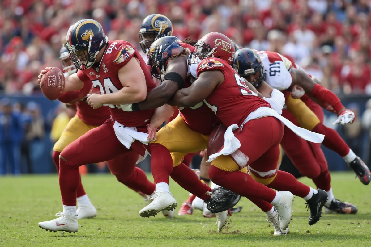 what does a linebacker in football do