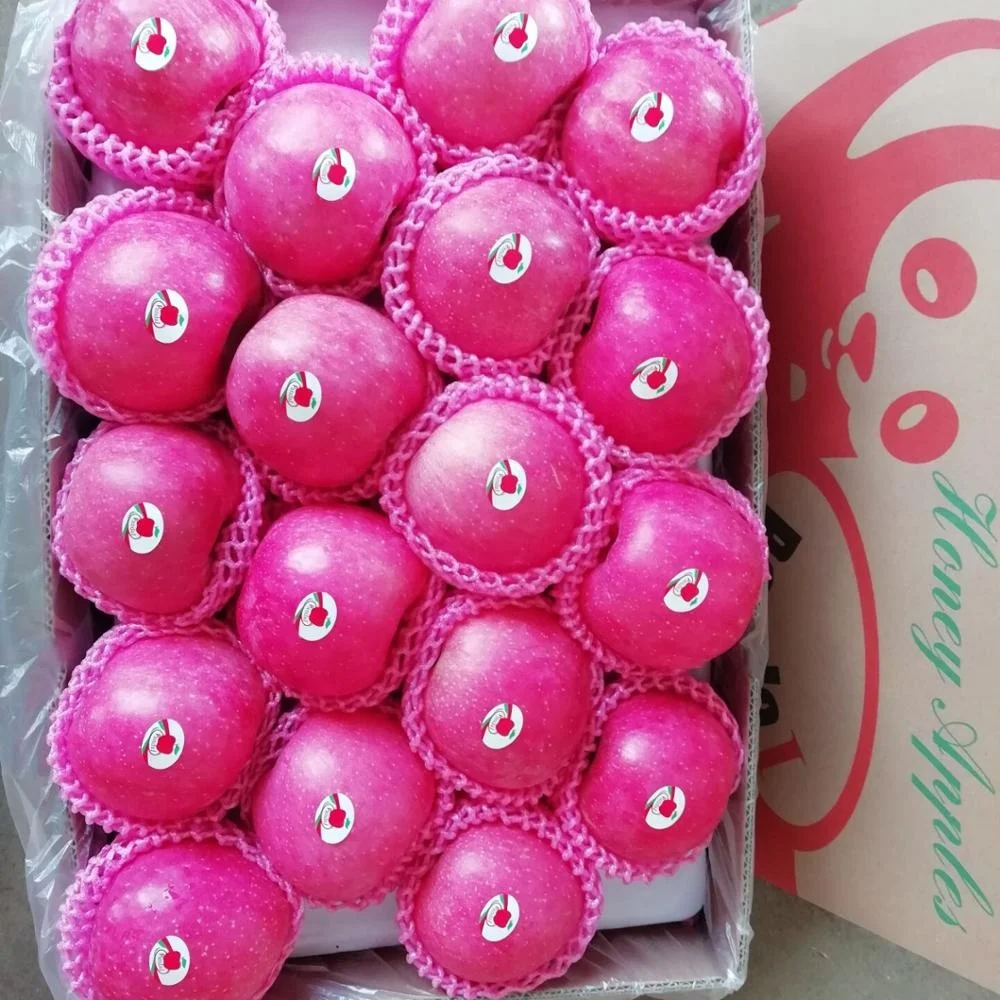 
Sell Shandong Produced Fresh Fuji Apples 