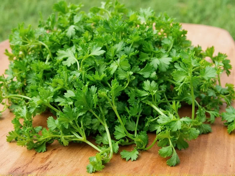 Best Parsley Substitutes: 7 Practical Alternatives for Cooking