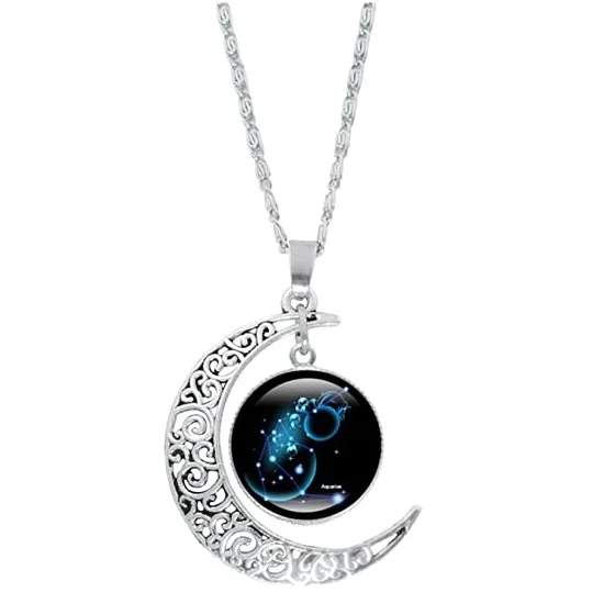 

2021 Dainty 12 Zodiac Moon Necklace Glow Crystal Crescent Half Moon Pendant Necklace for Women, Picture shows