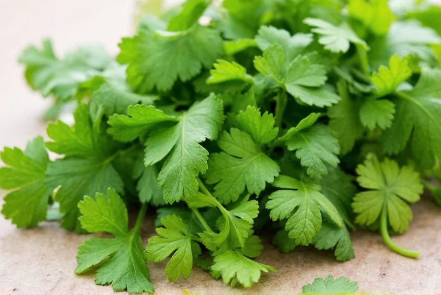 Various herb and spice substitutes arranged for cooking