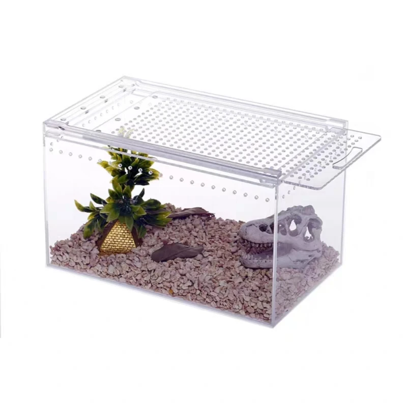 

Reptile feeding box acrylic pet climbing box high light mane lion palace toy snake horned frog escape turtle tank