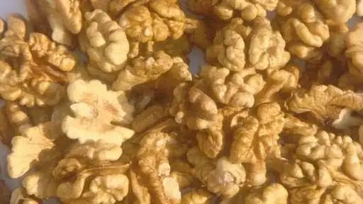 
Dried Walnuts Available... 