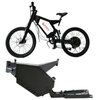 

Powerful Electric Mountain Bike frame