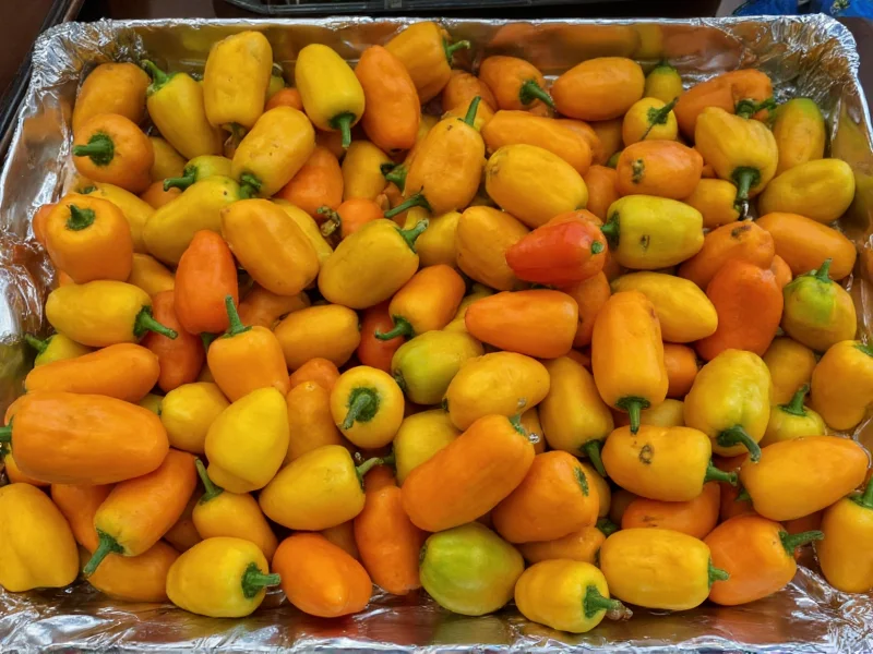 Serrano Pepper Storage: Best Methods for Freshness