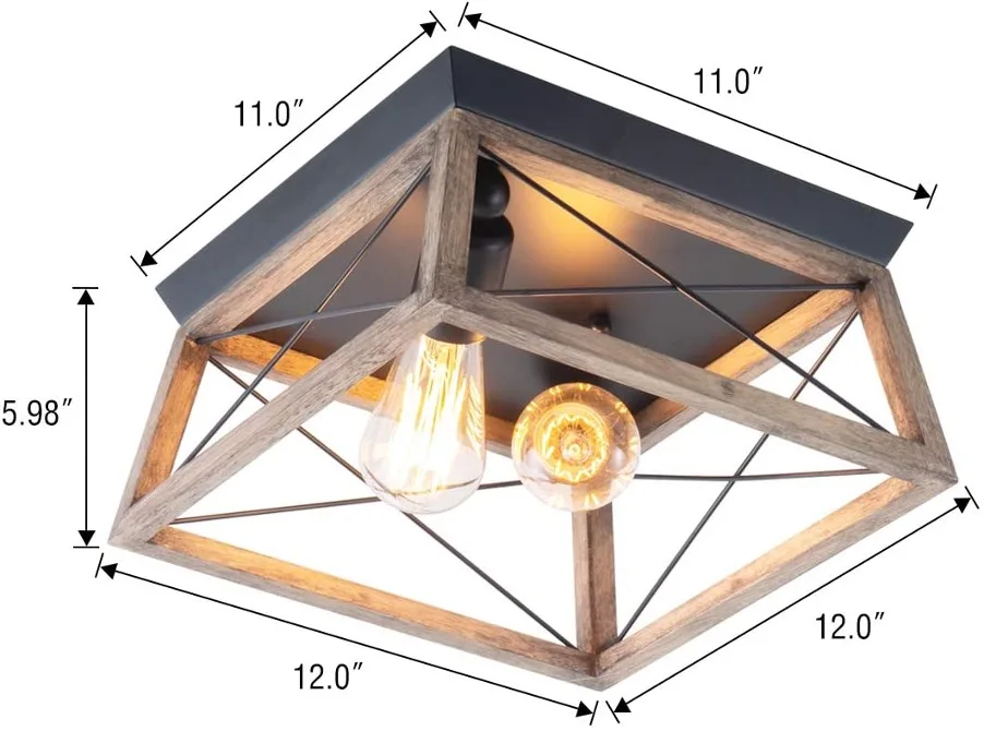 Light 2 bulb cage.jpg