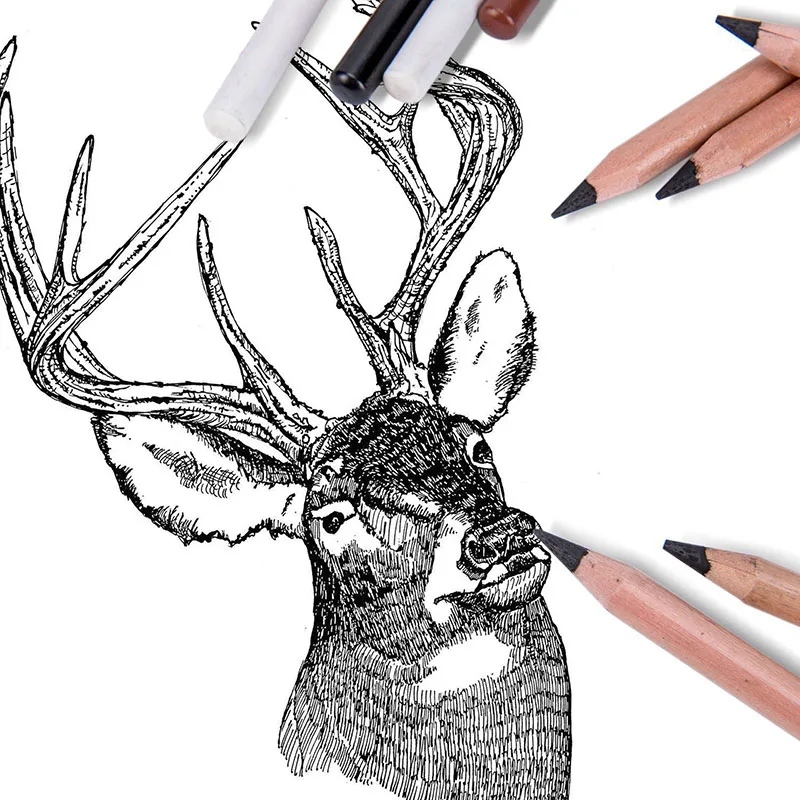 sketch pencil  (11).jpg