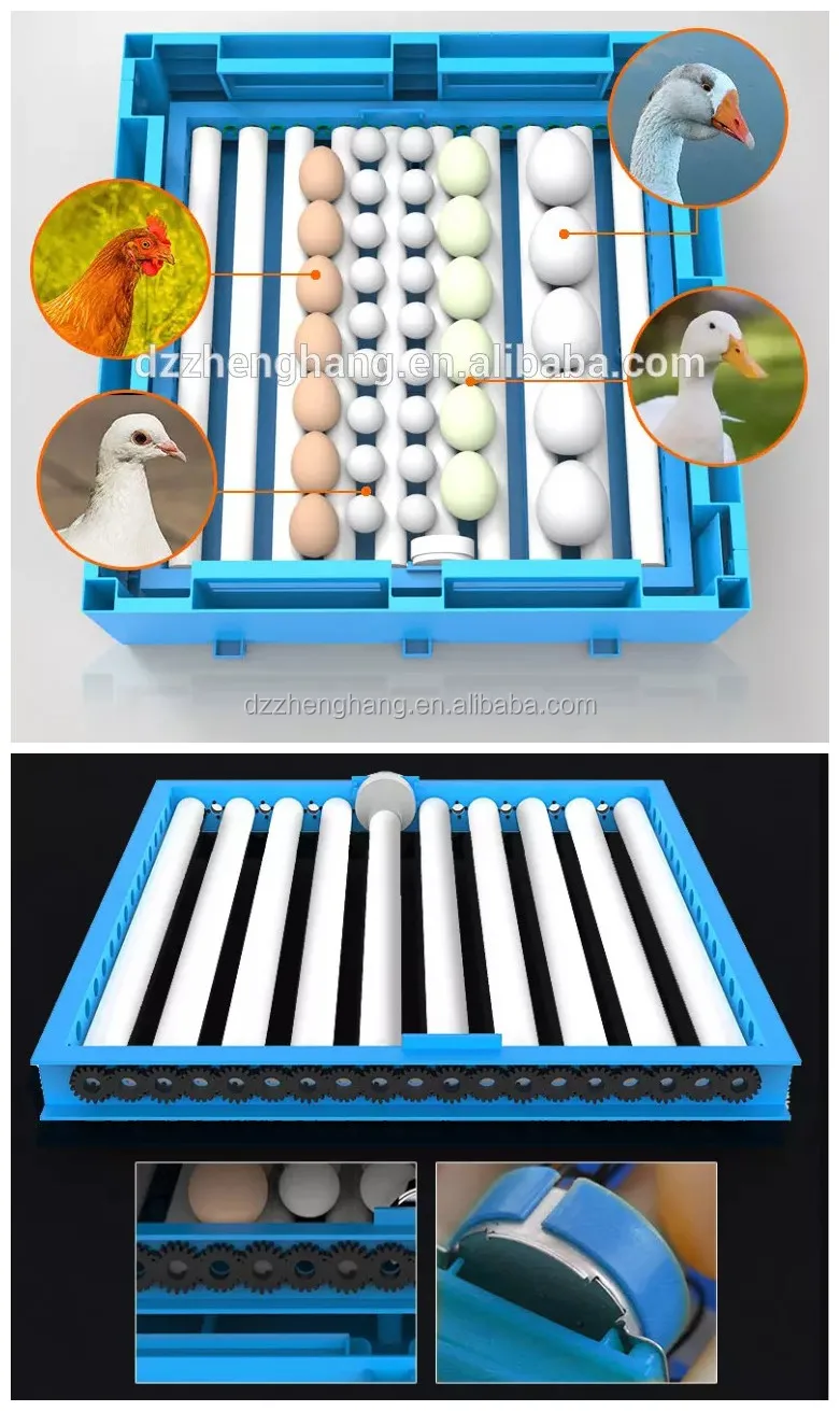 New Design 320 Eggs Mini Incubator With Roller Egg Tray ...