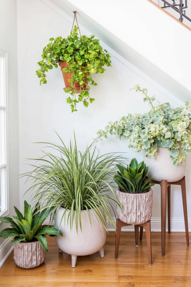 5 family friendly planter ideas that add life to your home without breaking the bank