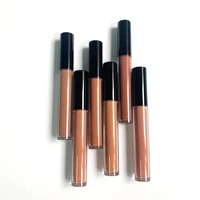 

Fruit Scented Lip Gloss Private Label Liquid Lipstick Velvet Lipstick