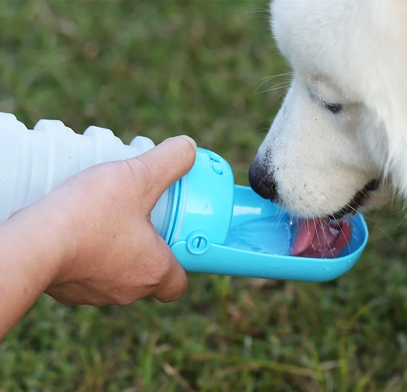 Dog Water Bottle Folding