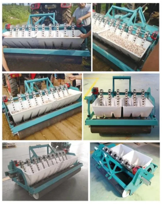 High Quality Manual Garlic Planter For Sale/ Garlic Seeder Buy Garlic