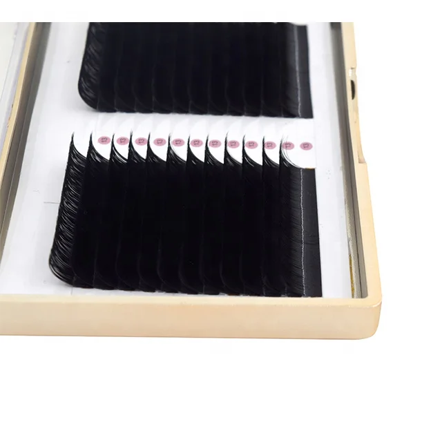 
Book Free Sample Customer Private Label Trays Auto Fan Blooming Eyelashes Extensions Cheap Mink Lashes Extension 