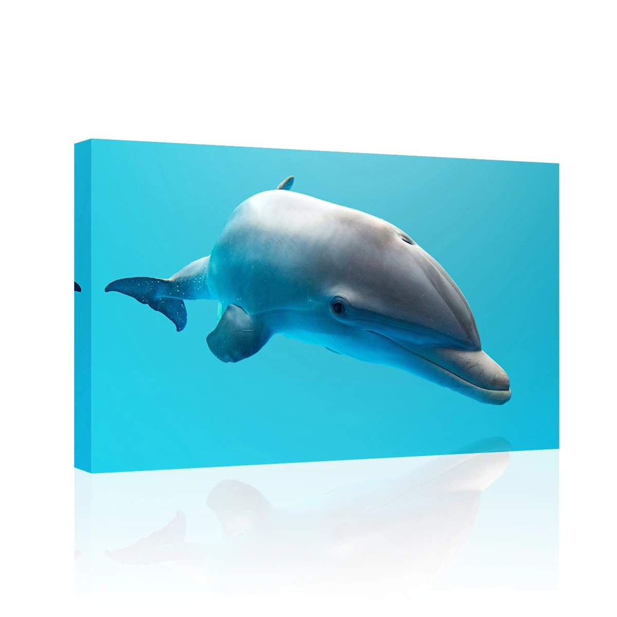 

Dolphins Canvas Prints Swimming Dolphins Wall Art Ocean View Wall Decor Blue Ocean Wall Art for Living Room Ocean View Paintings
