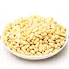 Buy Pine Nuts kernels