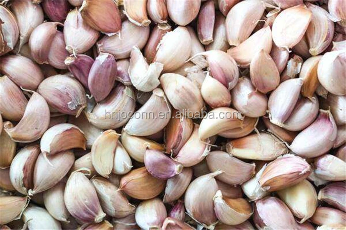 garlic peeling machine06.jpg