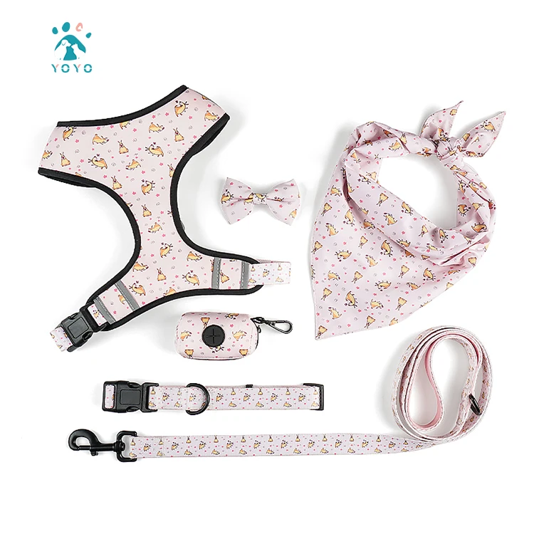 

Custom Design Dog Harness with Collar Leash Bow Tie and Bandana set