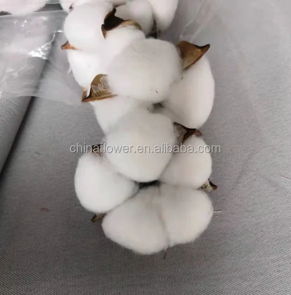 cotton stems garland  (5).JPG