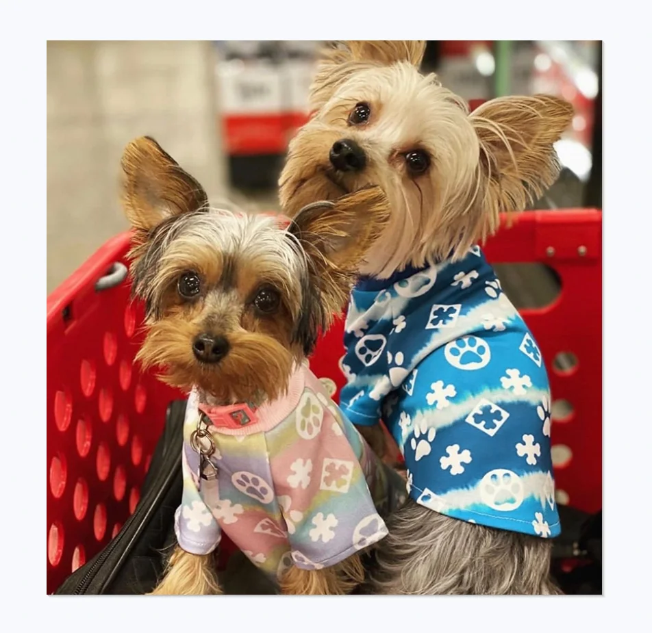 

Cute design luxury brand dog paw print cute pet summer clothes, As photo show
