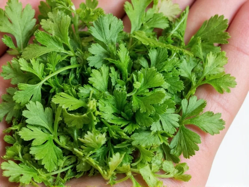 1/2 Cup Fresh Parsley to Dried Conversion: Exact Measurements