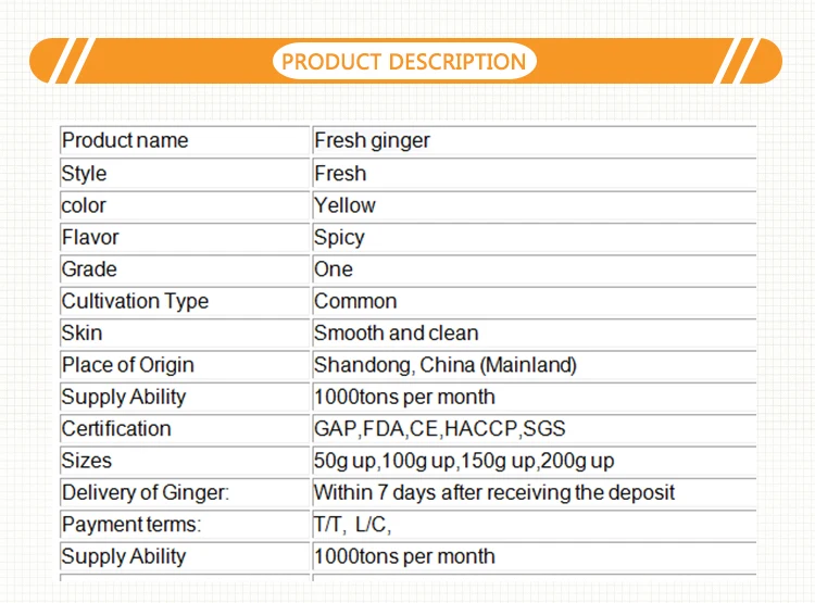 Prezzu d'esportazione 1kg China Mature Fresh Ginger