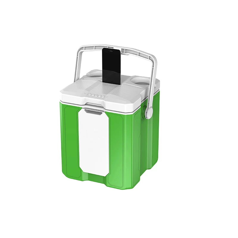Mini 10 L Portable Cooler Box With Bluetooth Speaker For Outdoor Party