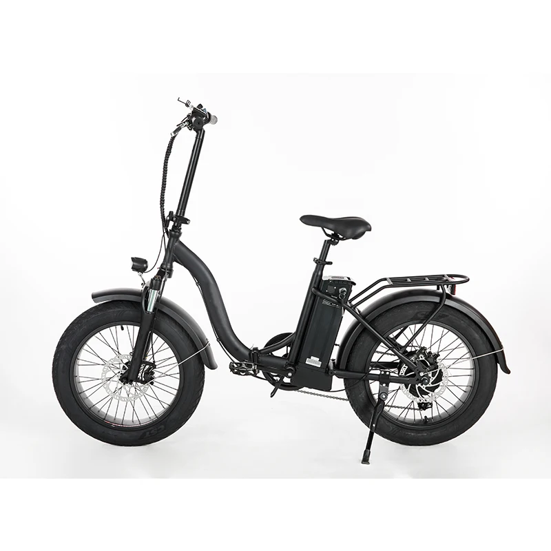 

High Quality 350W 48V 20 Inch Folding Electric Bike, Black/white/red/blue