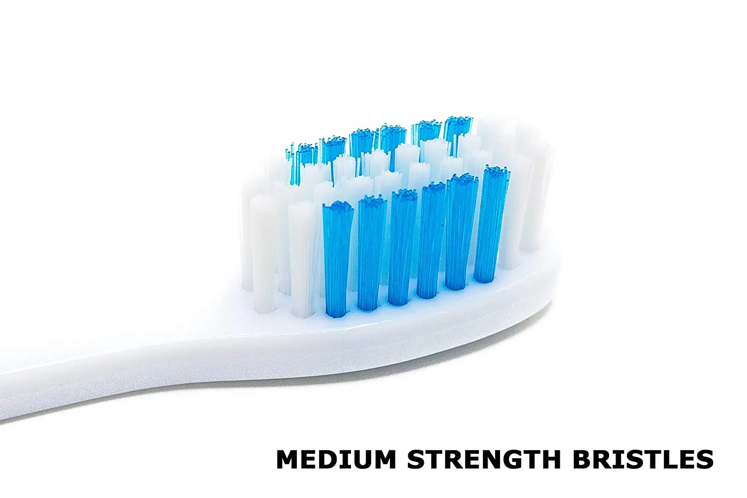 200311-foldable TB- (4).jpg