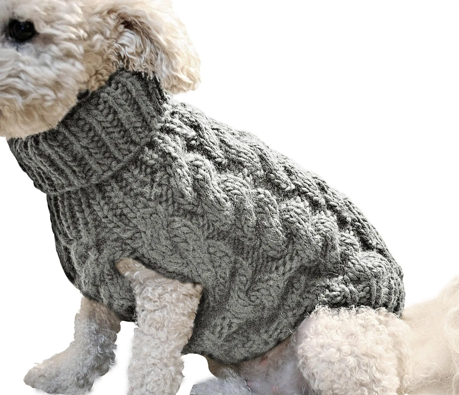 

Spring and autumn clothing new pet sweater dog clothing small and medium-sized dog knitted pet clothing