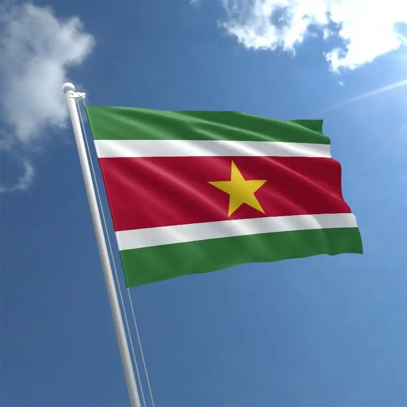 Как выглядит флаг suriname