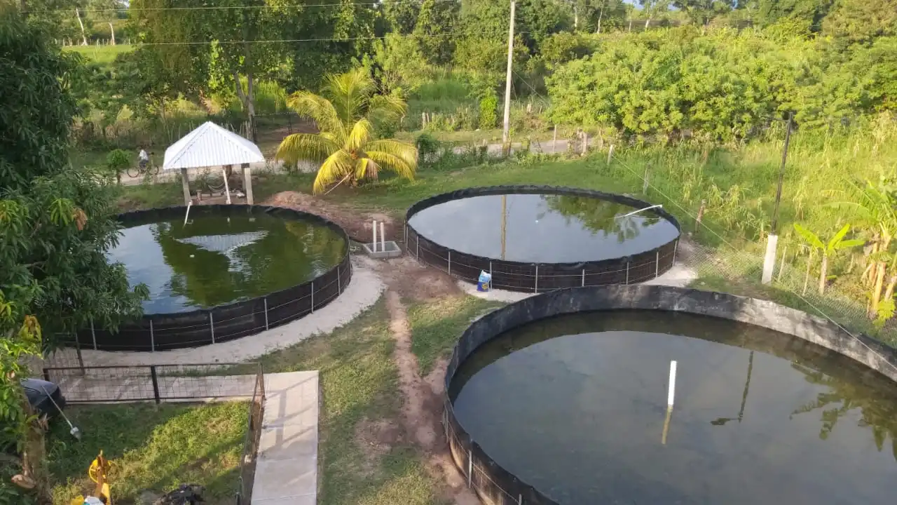 0 75毫米hdpe土工膜膜池衬板抗紫外线不透水hdpe黑色防水鱼池