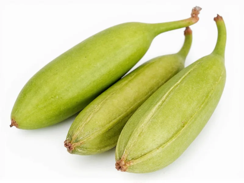 3 Cardamom Pods to Ground: Exact Measurement Conversion