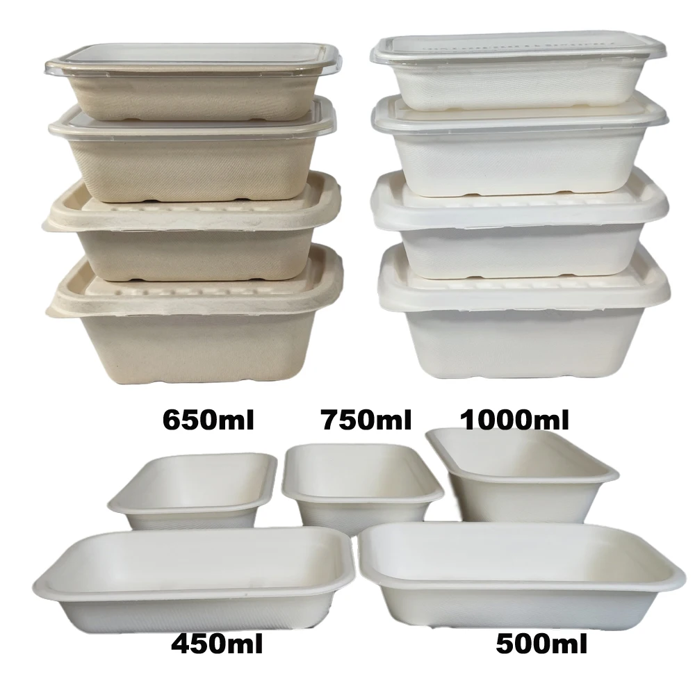 

Disposable Biodegradable Sugarcane Paper Take Away Takeout Takeaway Food Box Fast Lunch Food Packaging Box
