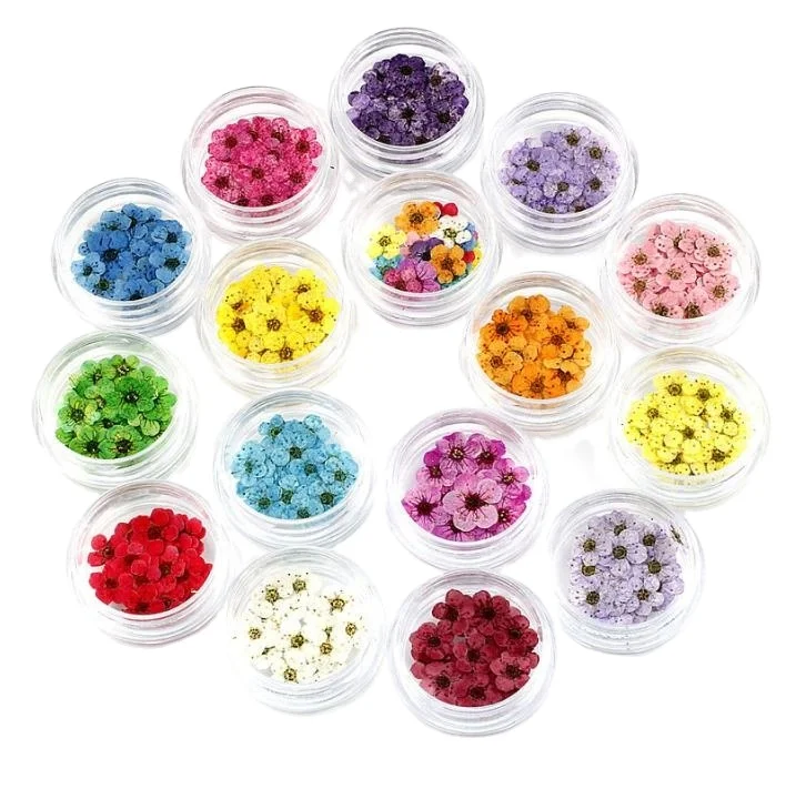 

Nail art pressed dried flower nature dried flowers 16colors For UV Gel Acrylic Nail Art