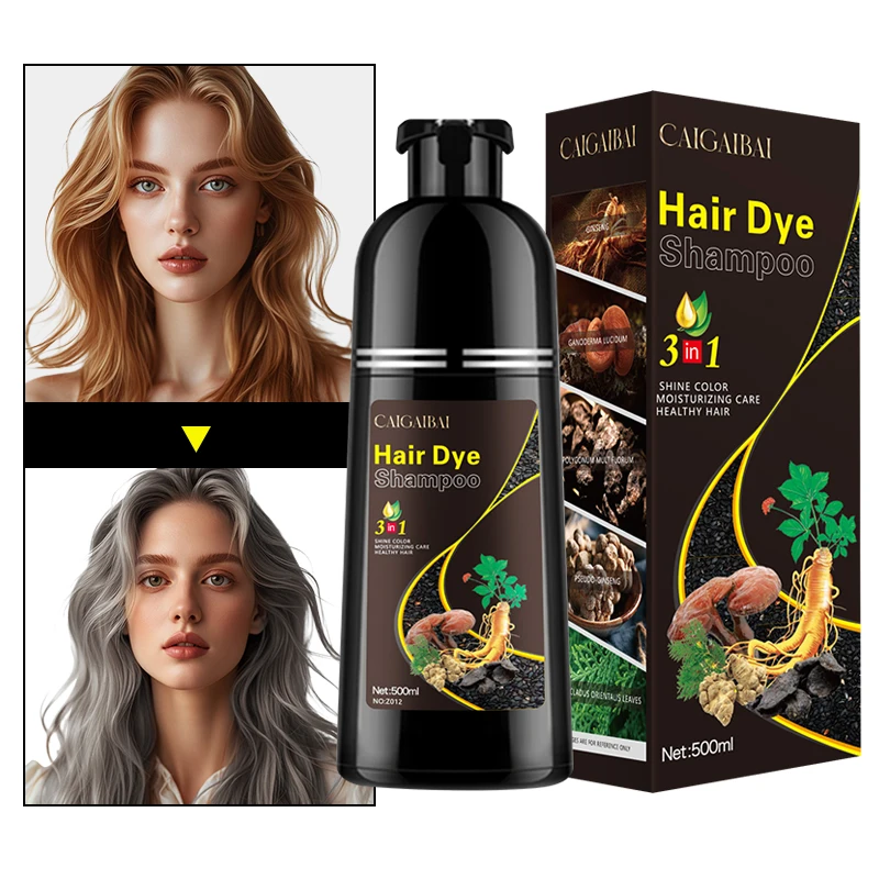 OEM Customize Wholesale  Natural Argan Oil Extract Plant Permanent Hair Color Dye Shampoo for Women Covering Gray Hair