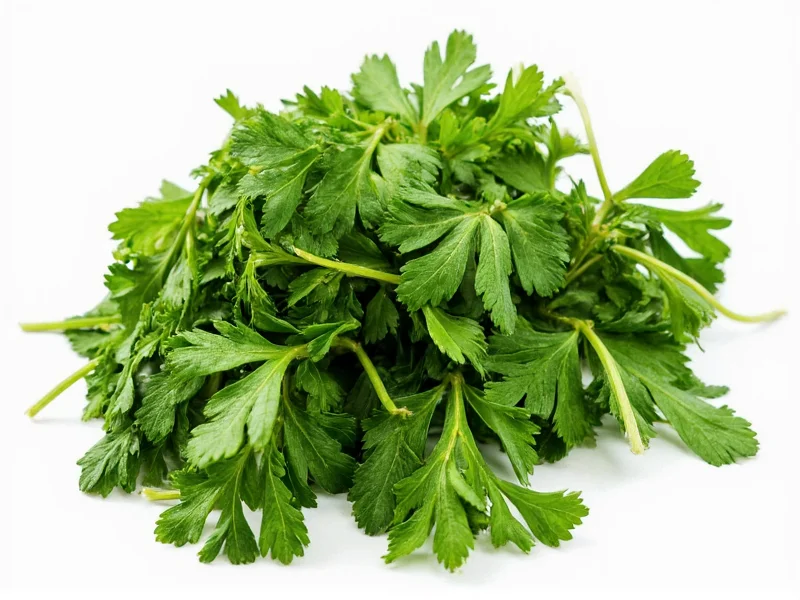 Best Dried Parsley Substitutes: 8 Practical Alternatives