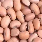 
High Grade Brand Bulk Healthy Dried Beans Cow Peas 