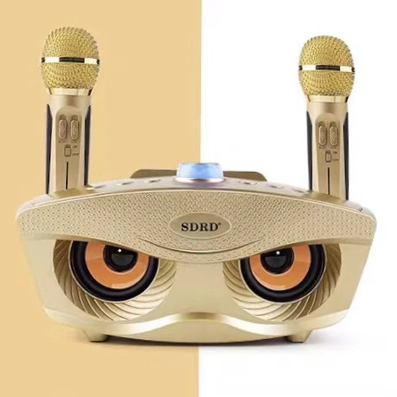 

sd-306 High quality Amazon Europe Japan Singapore 2 in 1Karaoke Wireless Speaker sd-306 microphone karaoke