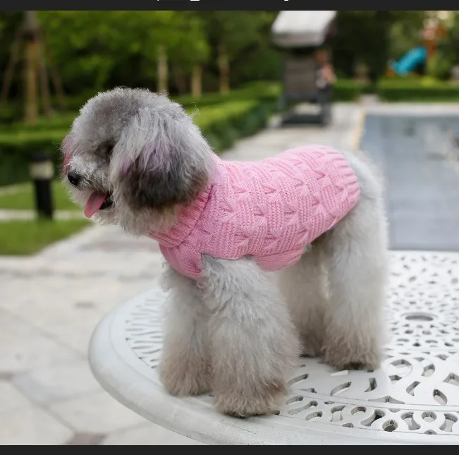 

dog jumpsuit