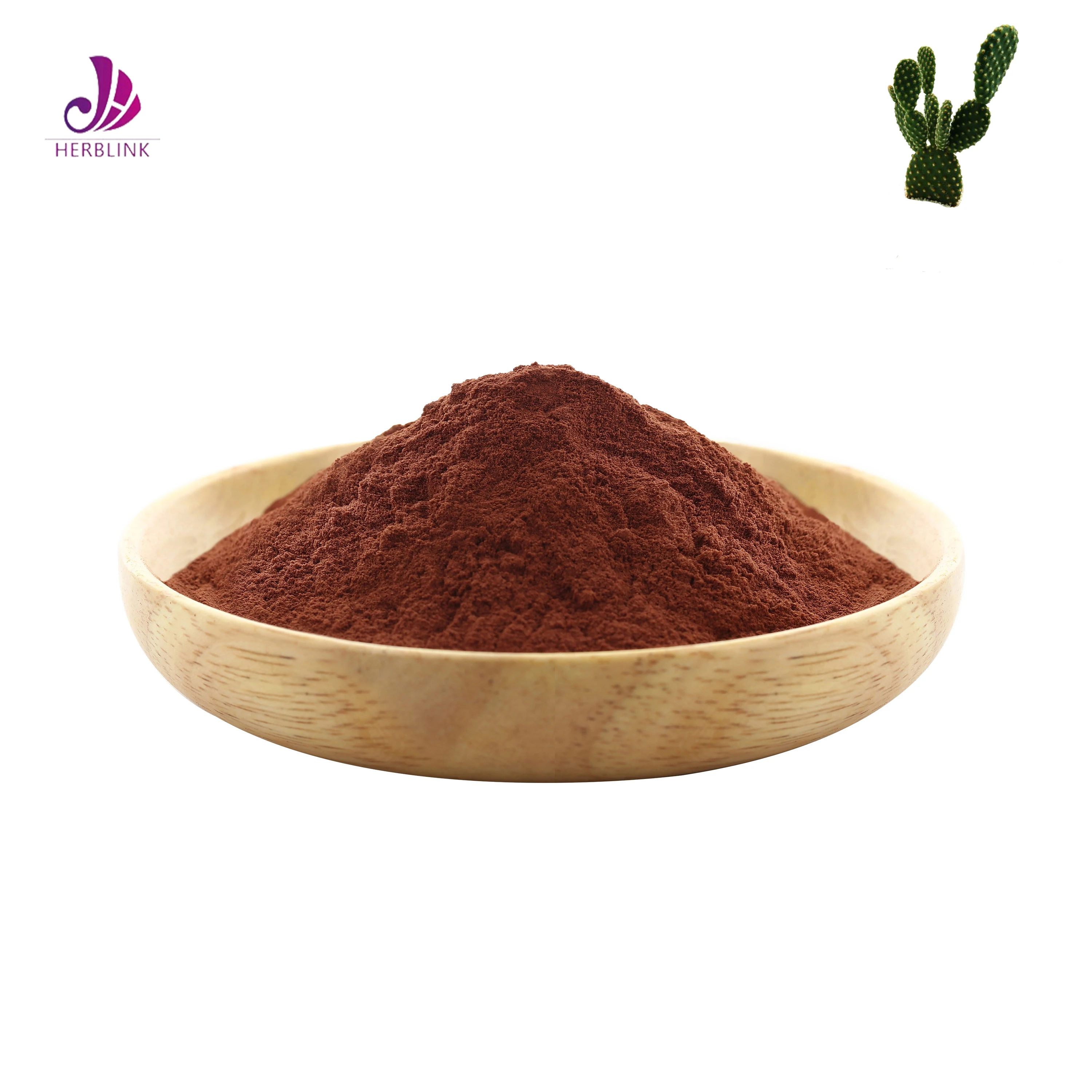 Hoodia Cactus Extract Prickly Pear Cactus Powder San Pedro Cactus