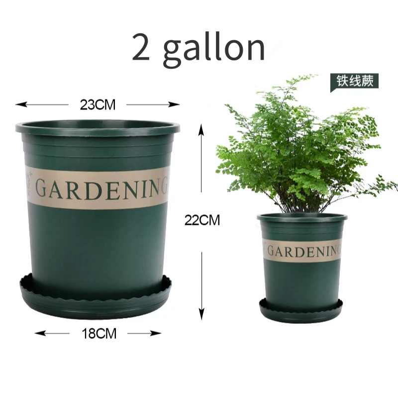 

2021hot sale cheap price wholesale 2gallon flower pots for livingroom green pots for plants