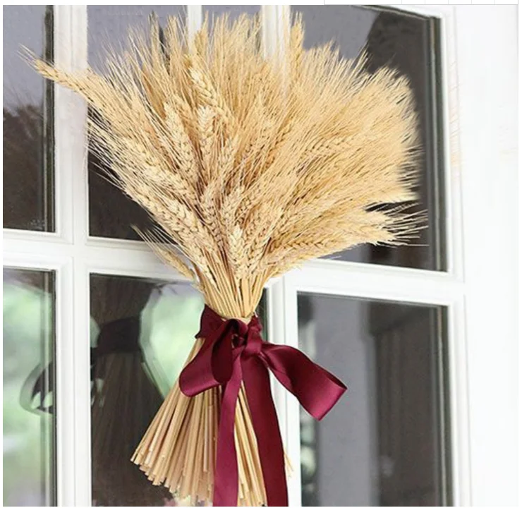 Natural Dried Flowers Dried Wheat Flowers Decorations For Table