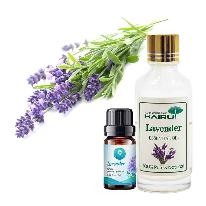 

OEM Aroma Diffuser Pure Nature Plant Extract Lavender Essential Oil Factory Supply Lavender Oil Lavender Aroma Therapy Oil 10ml