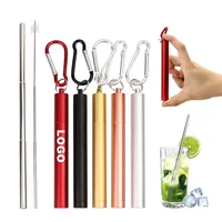 

Telescopic Foldable Stainless Steel 304 Metal Rainbow Drinking Straws