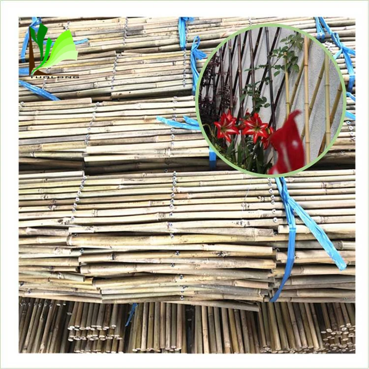 bamboo fence-b-05