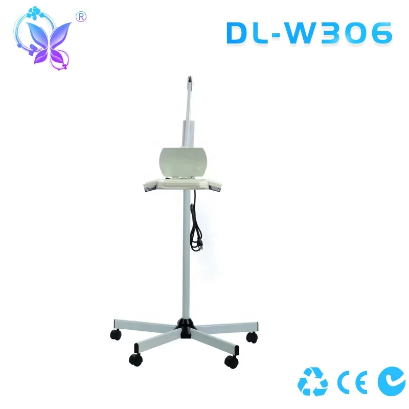 DL-W306
