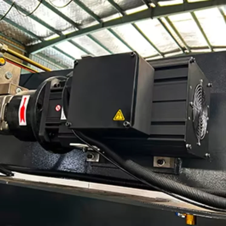 Delta Servo Motor
